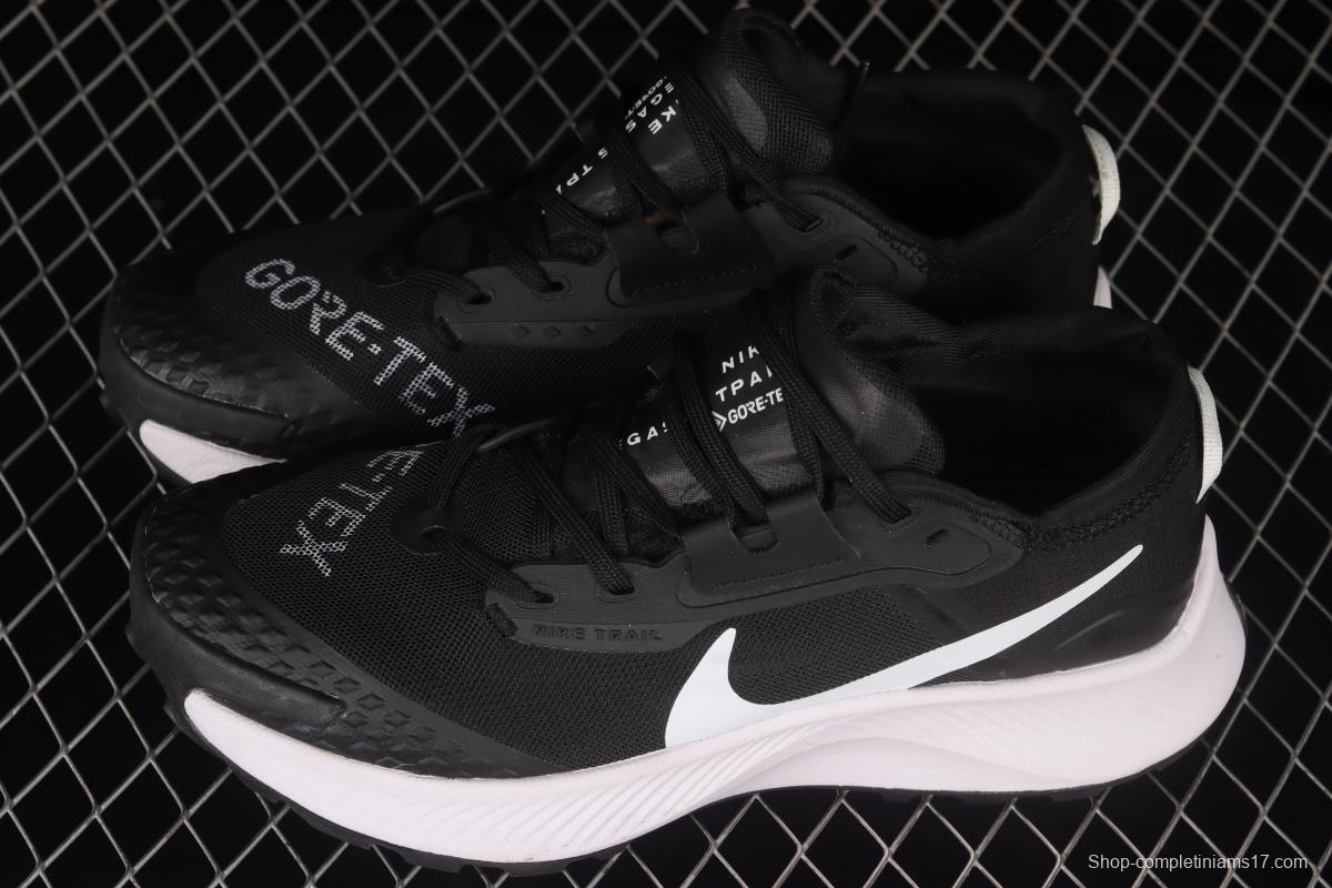 NIKE Pegasus Trail 3 Trail Running Shoes DC8793-001