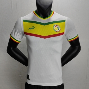 Player Version 2022 Senegal Home Soccer Jersey