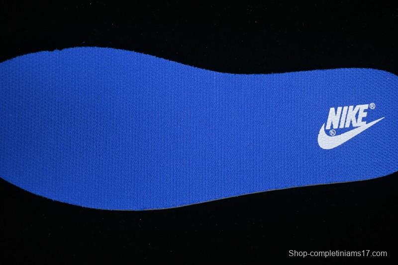 Nike Dunk Low Winter is Here Minimalist White Blue SB Lace-Up Low-Top Casual Skate Shoes - DV0831-104