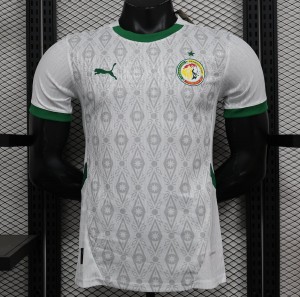 Player Version 2024 Senegal Home Jersey